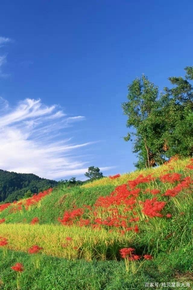 为什么很多免费送pos机的?这里面有套路吗?(图3) 为什么很多免费送pos机的?这里面有套路吗?(图3)