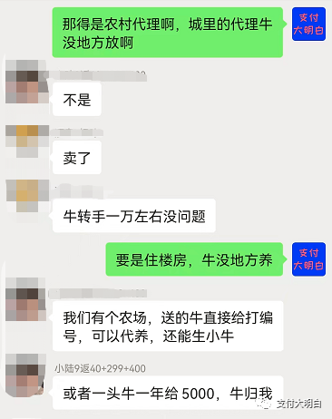 提货送一头活牛，这次是真牛啊！！(图2)